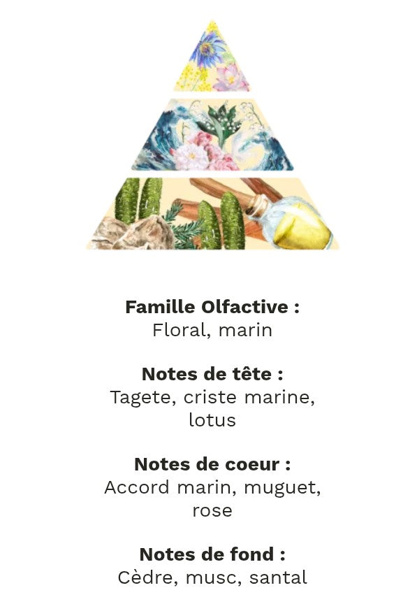 fondants parfumé Brise Marine