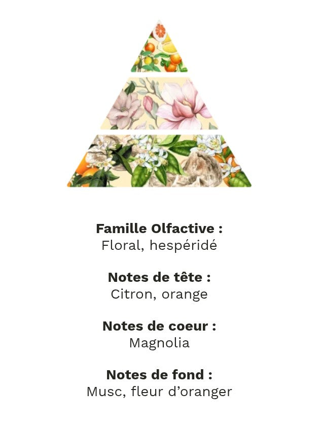 fondants parfumé magnolia