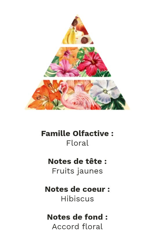 fondants parfumé hibiscus
