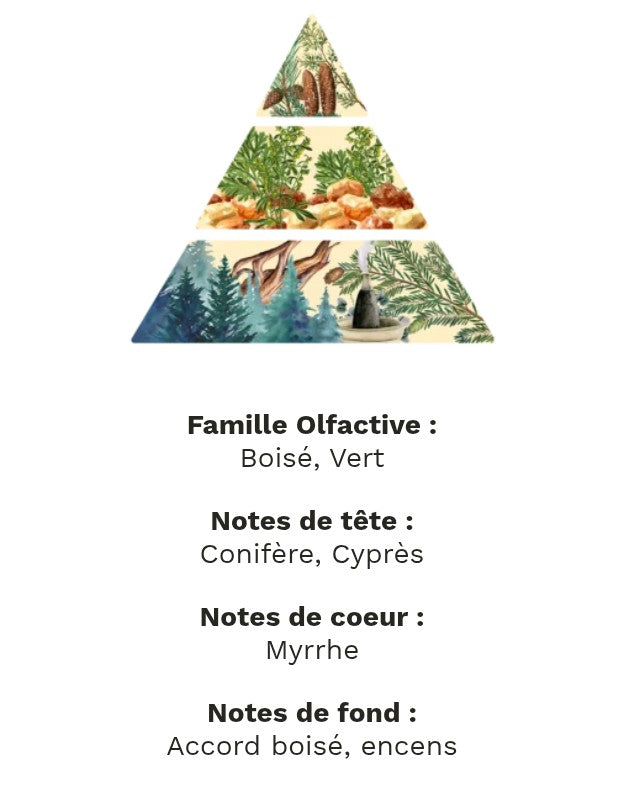 fondants parfumé balade en forêt