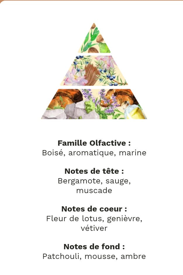 fondants parfumé bois flotté