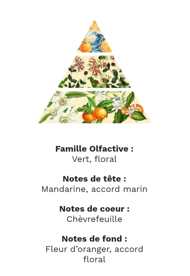 fondants parfumé chevrefeuille