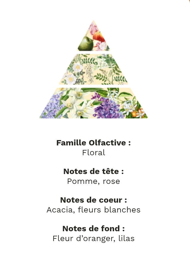 fondants parfumé fleurs d'acacia