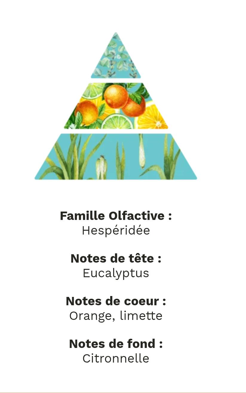 fondants parfumé agrume