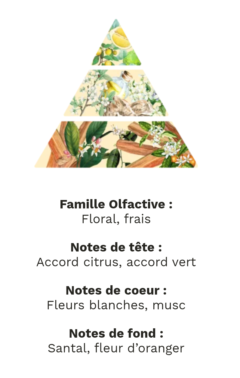 fondants parfumé linge propre