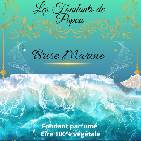 fondants parfumé Brise Marine