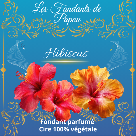 fondants parfumé hibiscus