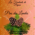 fondants parfumé pins des landes