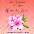 fondants parfumé azalée du japon