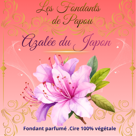 fondants parfumé azalée du japon