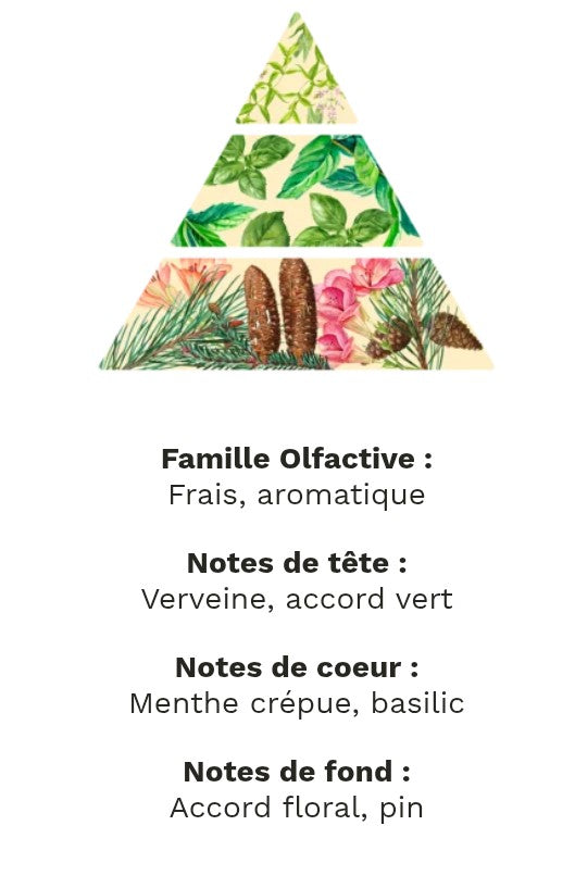 fondants parfumé menthe basilic