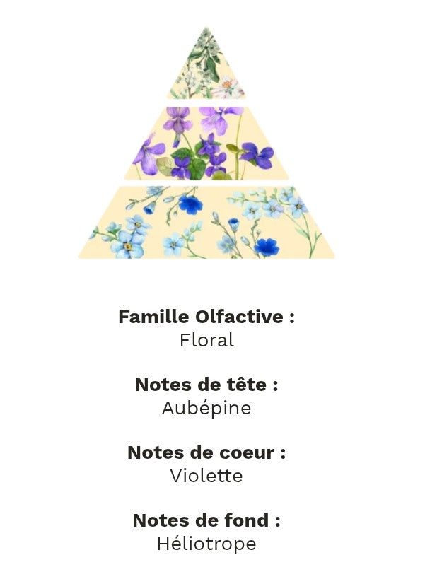 fondants parfumé violette
