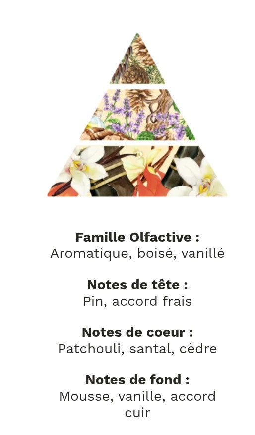 fondants parfumé feu de bois